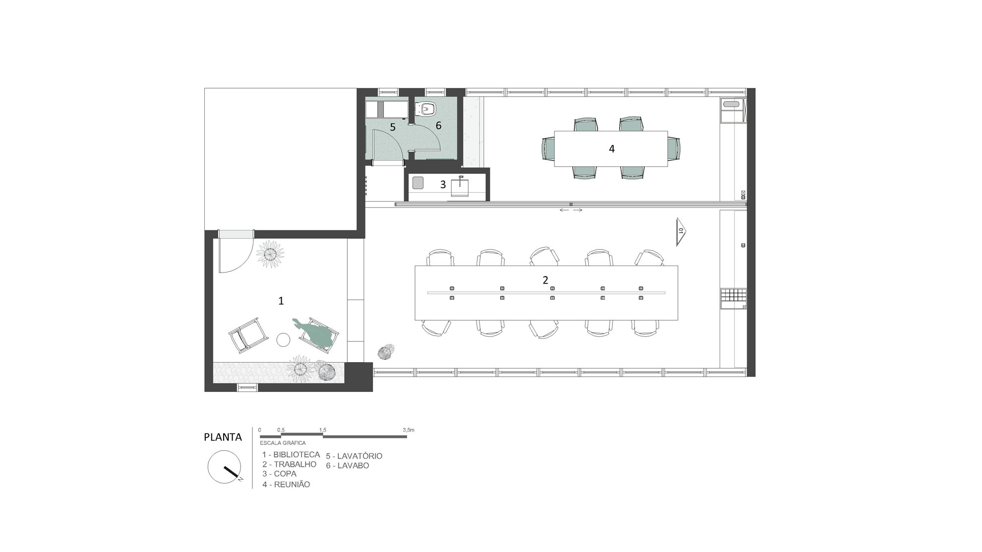 12 Rawi—Planta